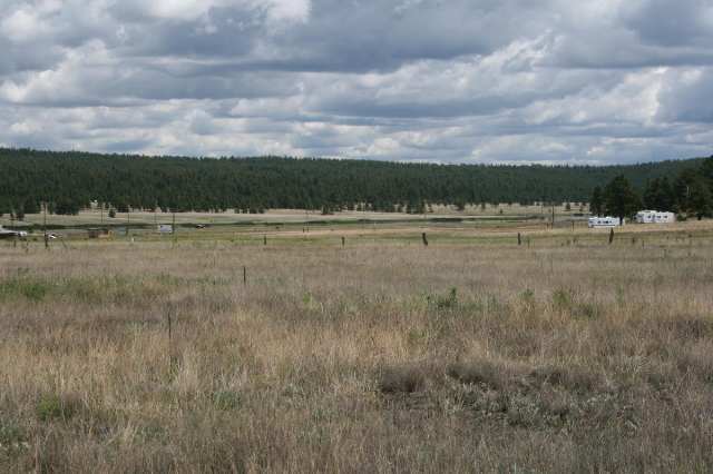 A A Lake View Alpine, AZ 85920 - Photo 3 of 4