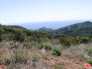 2 BORNA Drive Malibu, CA 90265 - Photo 11 of 13 a view of a lush green forest with mountains in the background