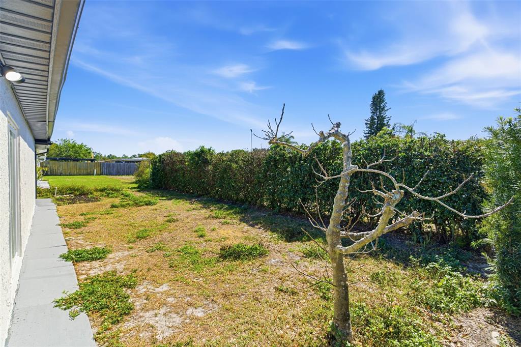 5840 Otis Drive New Port Richey, FL 34652 - Photo 44 of 75