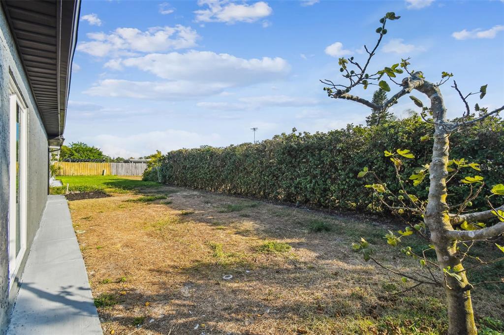 5840 Otis Drive New Port Richey, FL 34652 - Photo 45 of 75