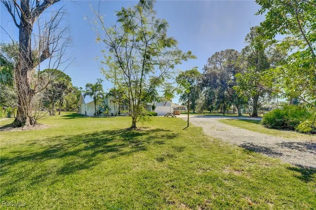 a view of a yard with trees