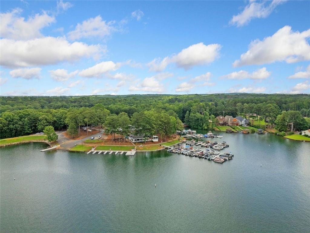 2021 Lakeview Parkway Villa Rica, GA 30180 - Photo 98 of 112 a view of a lake with houses