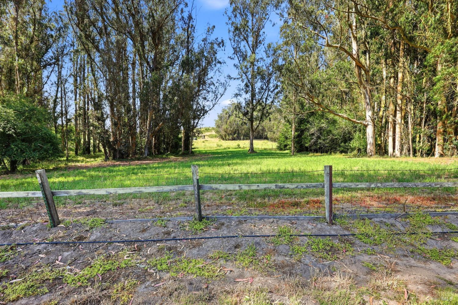 7470 Roblar Road Petaluma, CA 94952 - Photo 40 of 52