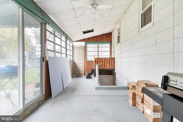 a view of a park with large trees