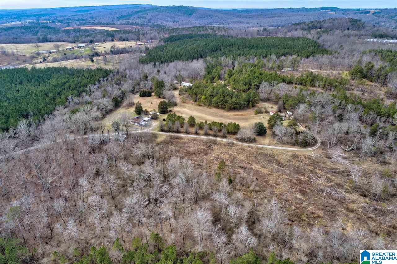 620 Chief Albert Road Blountsville, AL 35031 - Photo 11 of 15
