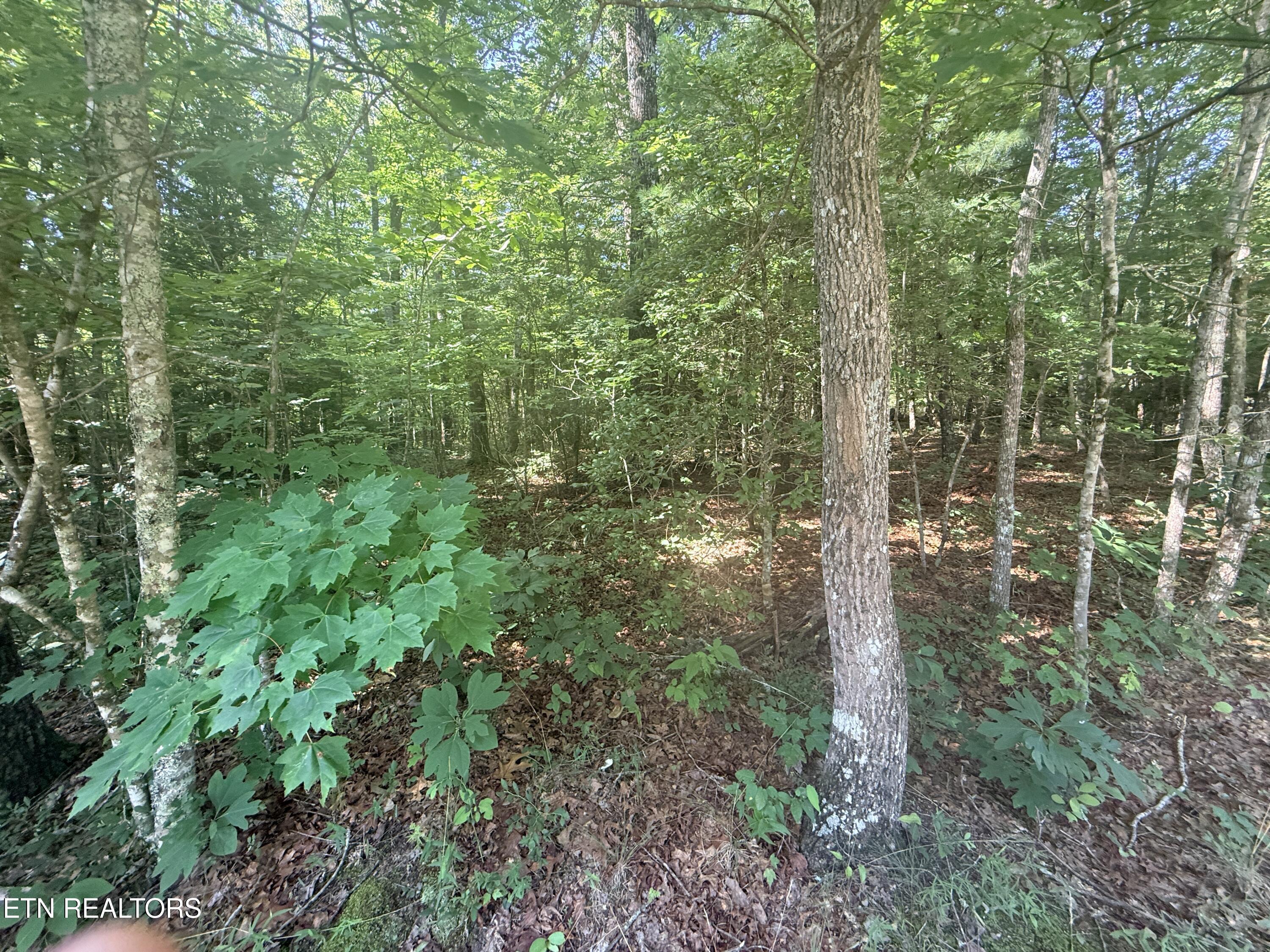 390 Georgee Road Jamestown, TN 38556 - Photo 10 of 14 IMG_8593