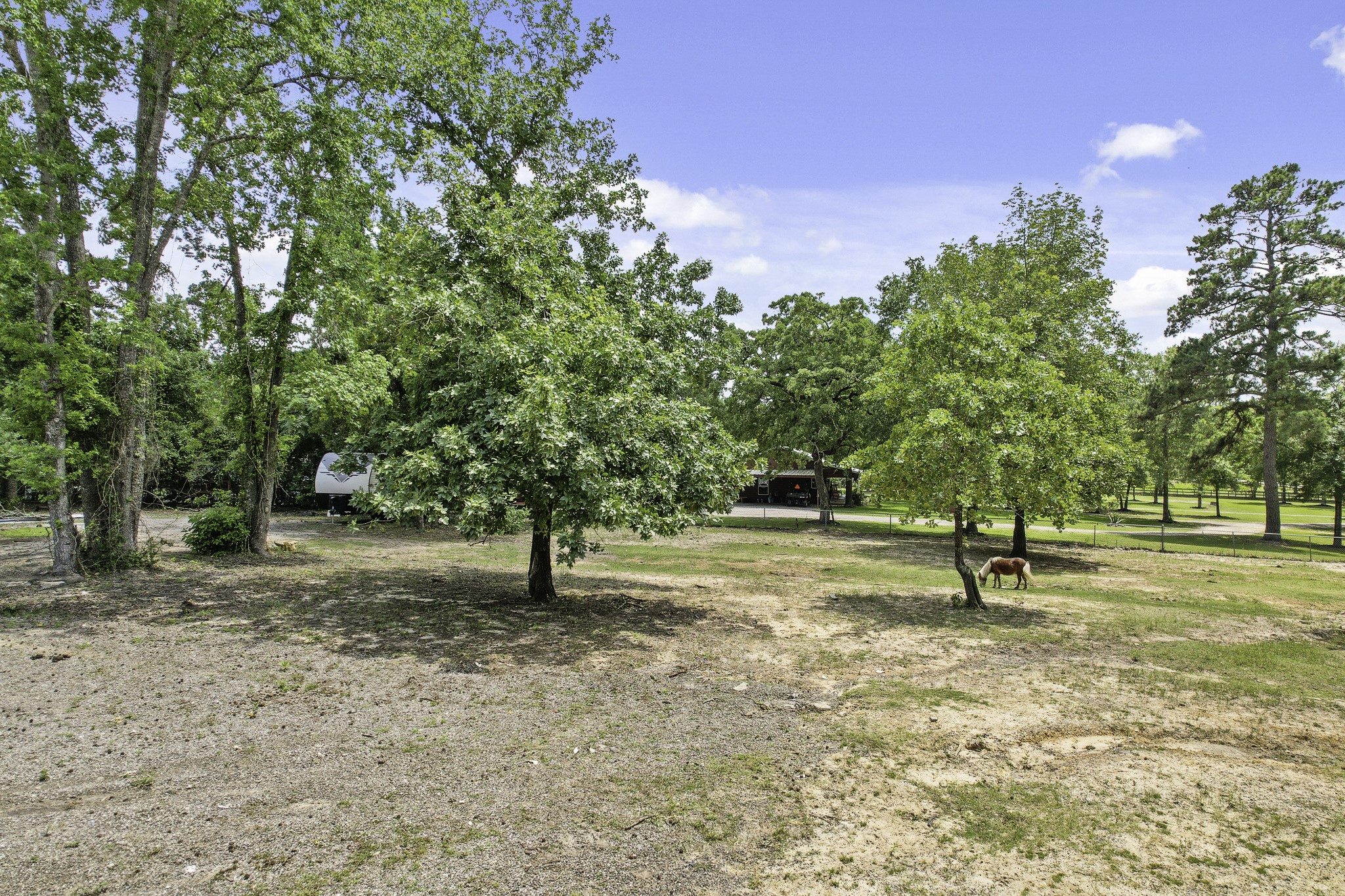 19885 Keenan Cut Off Road Montgomery, TX 77316 - Photo 4 of 21