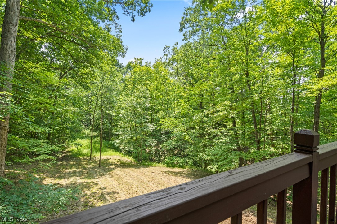 3610 Hunting Run Road Medina, OH 44256 - Photo 7 of 35 Gallery Image 7