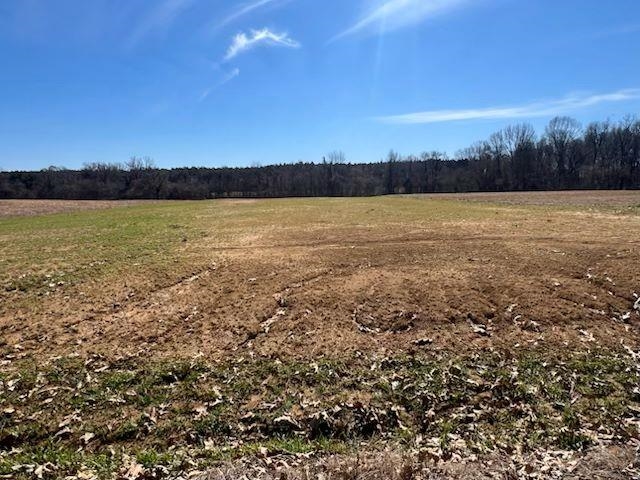 Lot 4 Brammer Road Mason, TN 38049 - Photo 1 of 1 a view of lake
