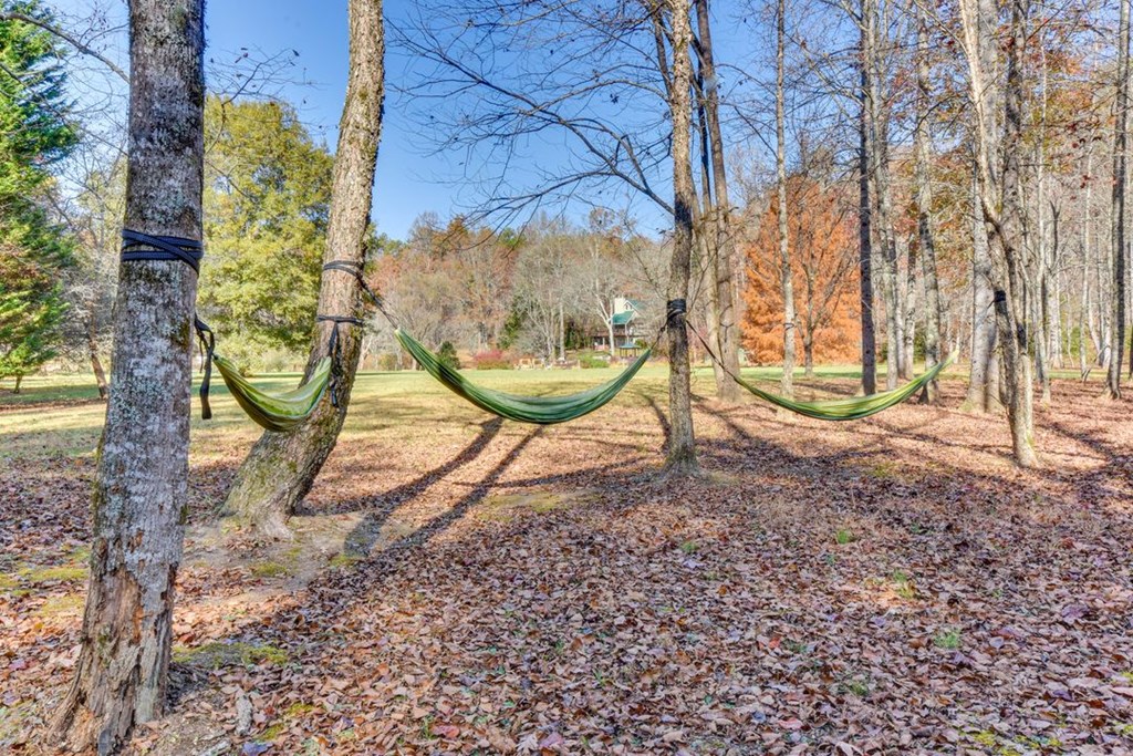 157 Beaver Run Road Blairsville, GA 30512 - Photo 39 of 42 Gallery Image 39