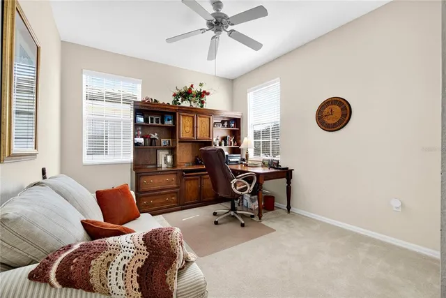 an aerial view of city and lake with trees
