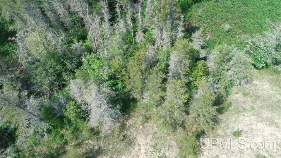 Tbd West Beach Road Naubinway, MI 49762 - Photo 18 of 45