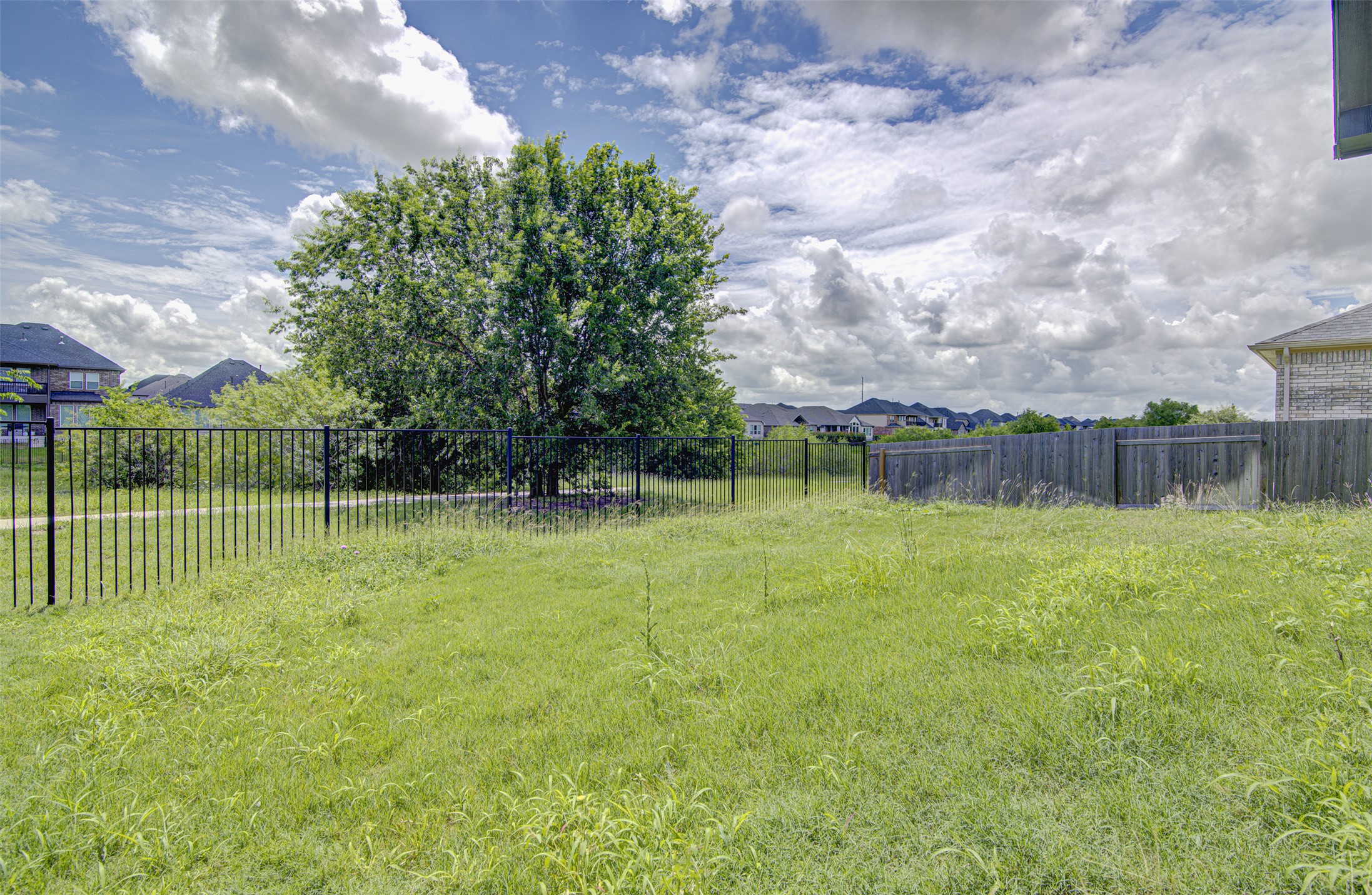 774 Cherrystone Loop Buda, TX 78610 - Photo 37 of 38 A spacious backyard with mature trees provides an ideal canvas for landscaping.