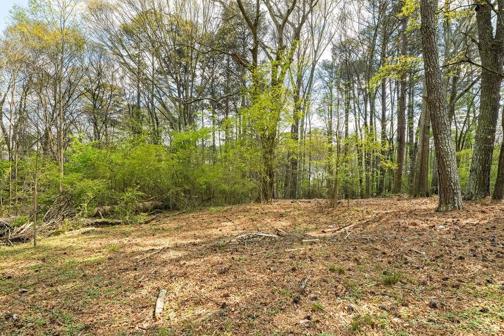 4661 Fowler Street Acworth, GA 30101 - Photo 7 of 23 a view of a yard with large trees