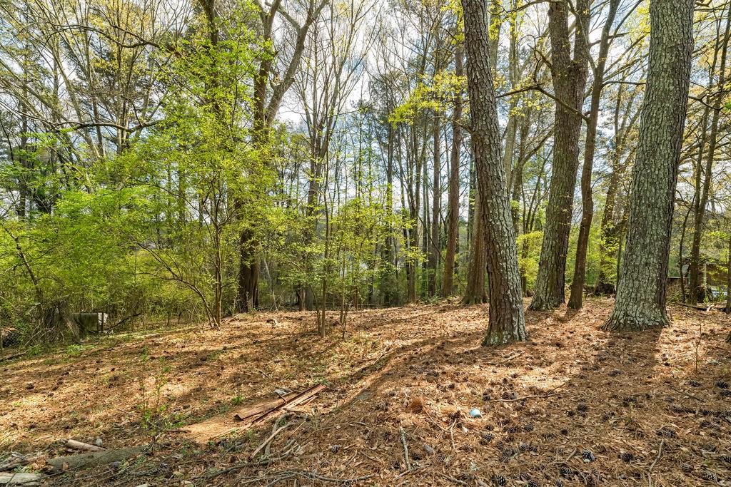 4661 Fowler Street Acworth, GA 30101 - Photo 8 of 23 a view of a yard with trees