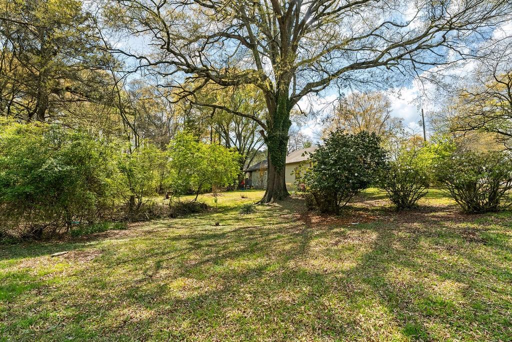 4661 Fowler Street Acworth, GA 30101 - Photo 9 of 23 a view of a yard with a tree