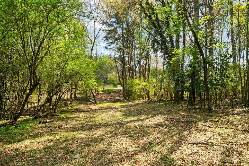 4661 Fowler Street Acworth, GA 30101 - Photo 10 of 23 a view of a yard with a tree