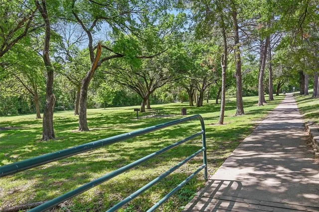 a view of a park with large trees