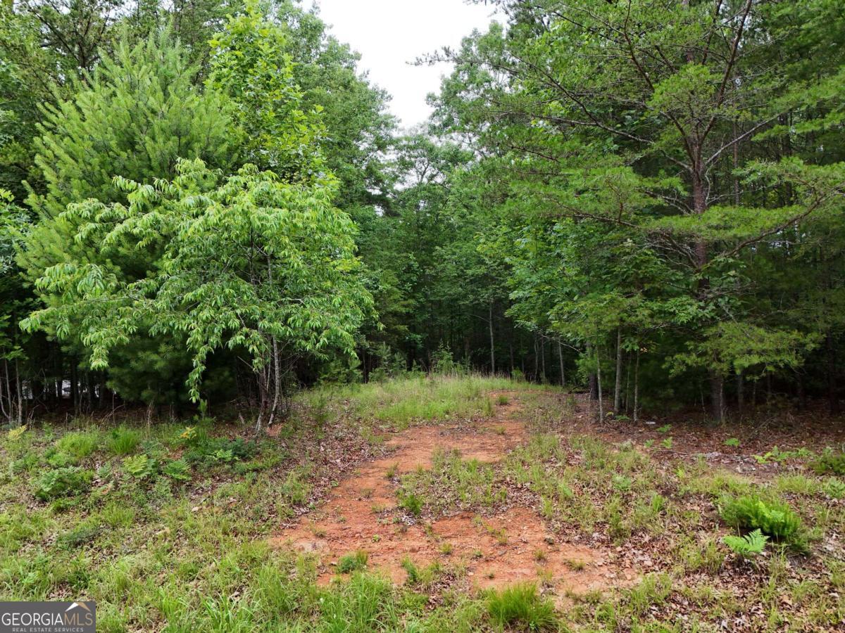 Lot 3 Cook Henry Road Blairsville, GA 30512 - Photo 4 of 18