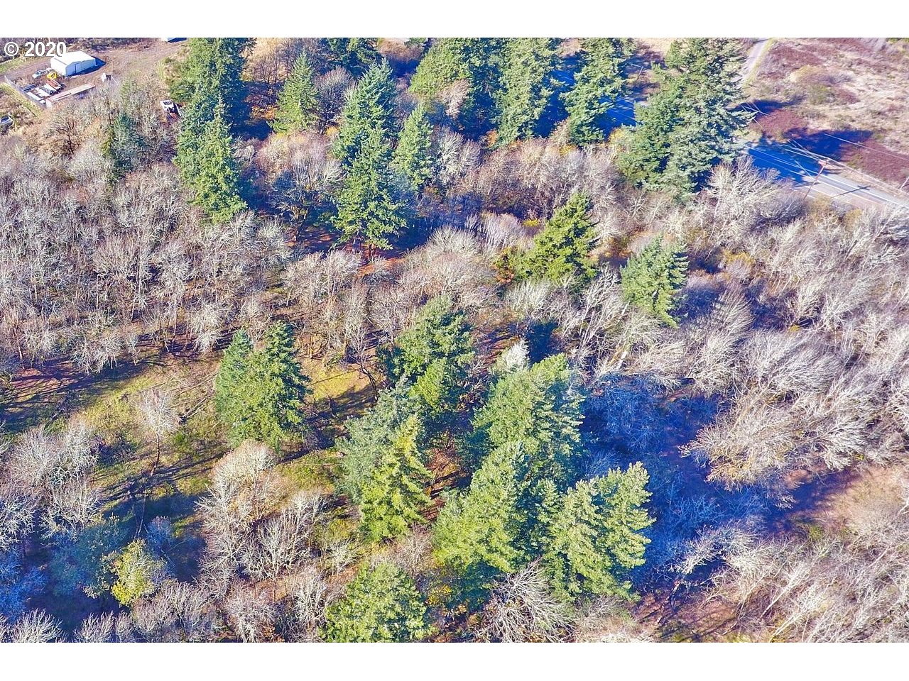 0 King Road Grand Ronde, OR 97347 - Photo 3 of 3