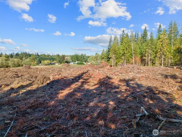 a view of a dirt yard with a large tree
