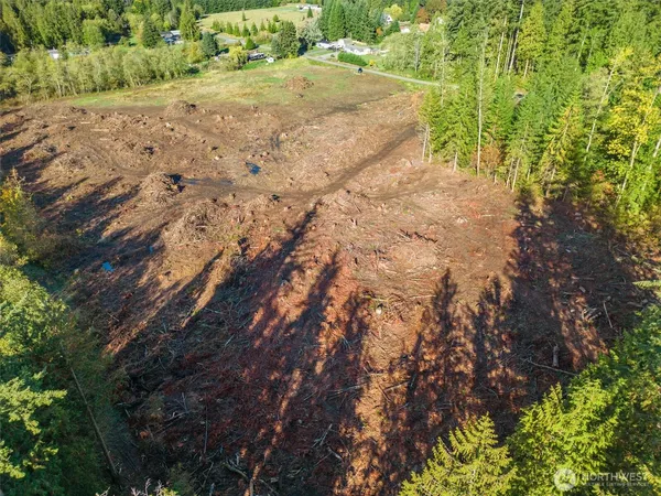 a view of a dry yard with trees