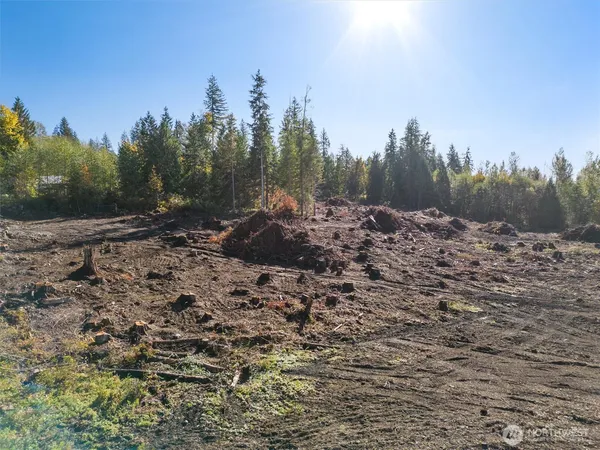 a view of a dirt road with trees in the background