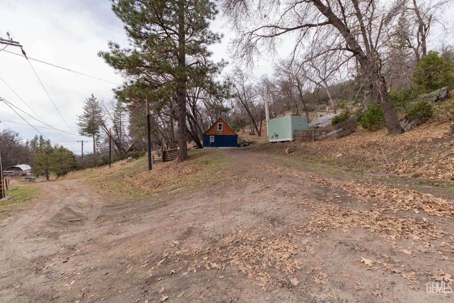 Undisclosed Address Posey, CA 93260 - Photo 14 of 51 a view of a tree in the middle of a yard