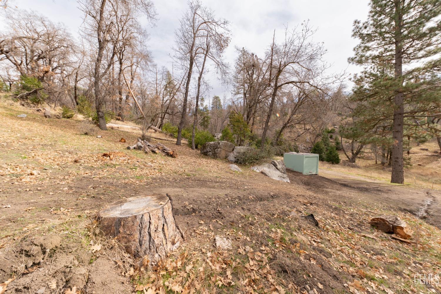 Undisclosed Address Posey, CA 93260 - Photo 25 of 51 a view of a yard with a tree
