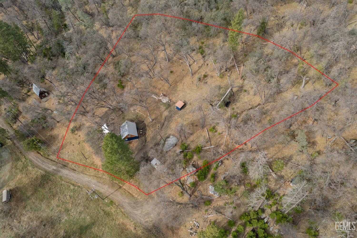 Undisclosed Address Posey, CA 93260 - Photo 7 of 51 a close up of a plant with a yard