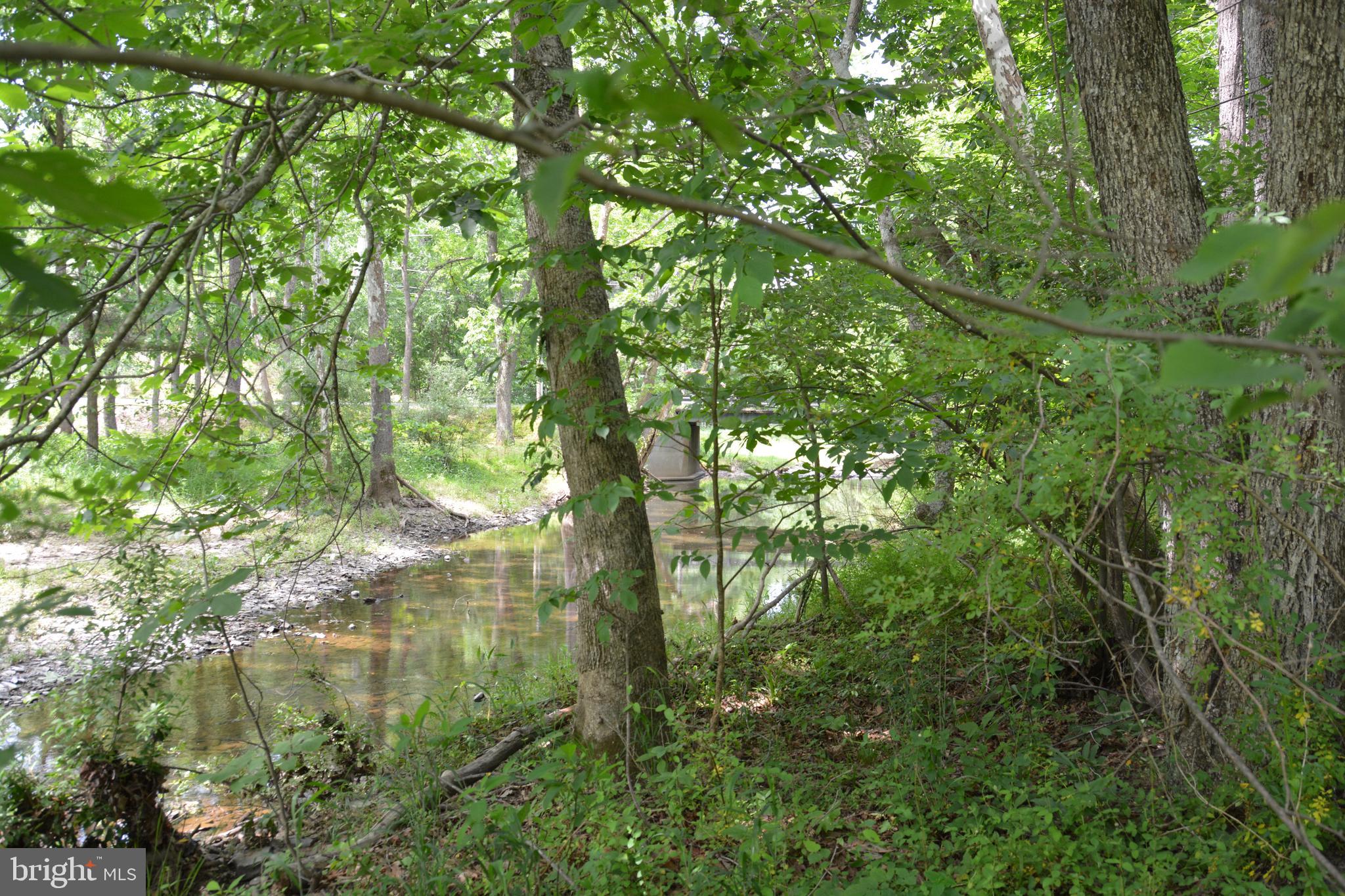 Two Lots On Siler Road Winchester, VA 22603 - Photo 10 of 38 a view of forest