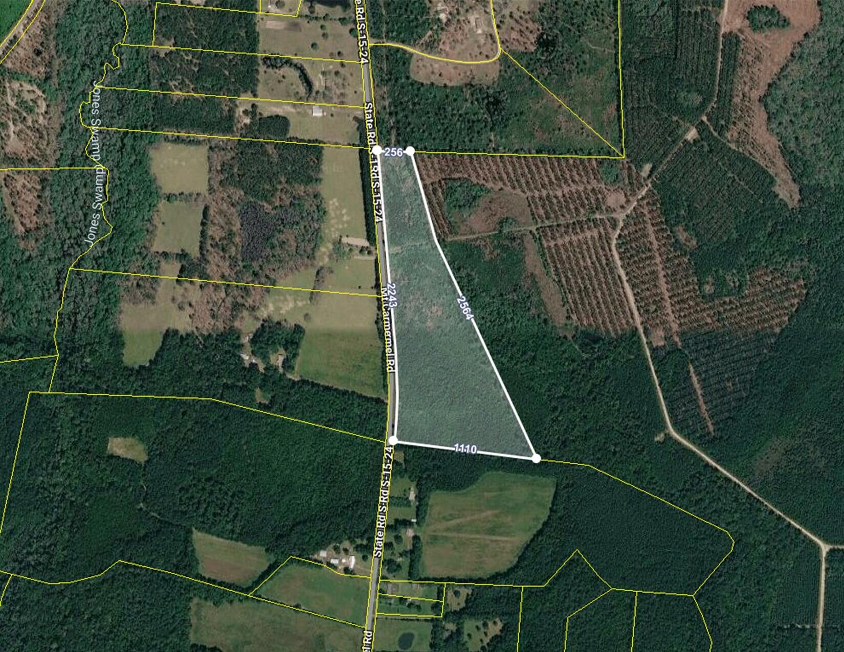 1 Mt Carmel Road Walterboro, SC 29488 - Photo 1 of 1 1-F Mt Carmel Aerial