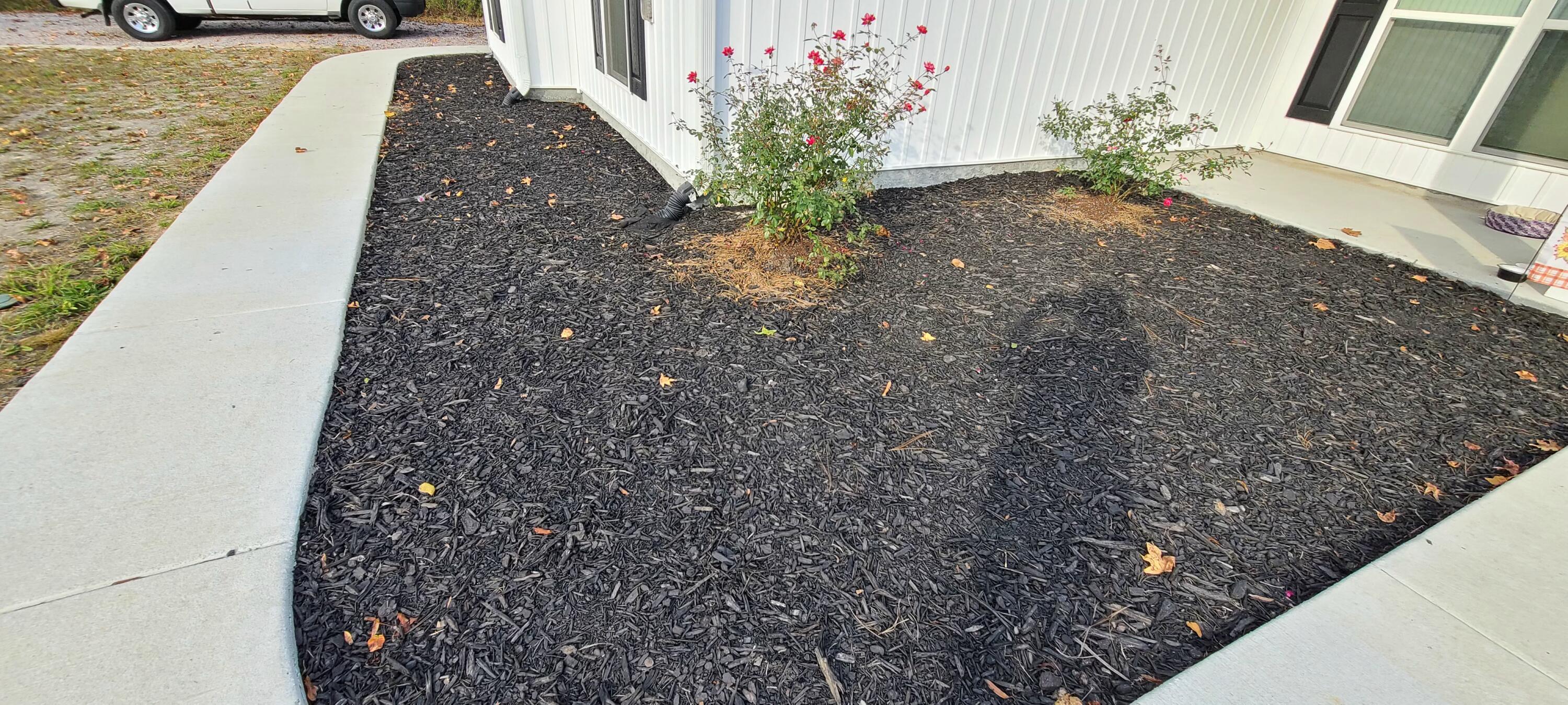 199 Dusty Road St. George, SC 29477 - Photo 38 of 69 20211104_163732