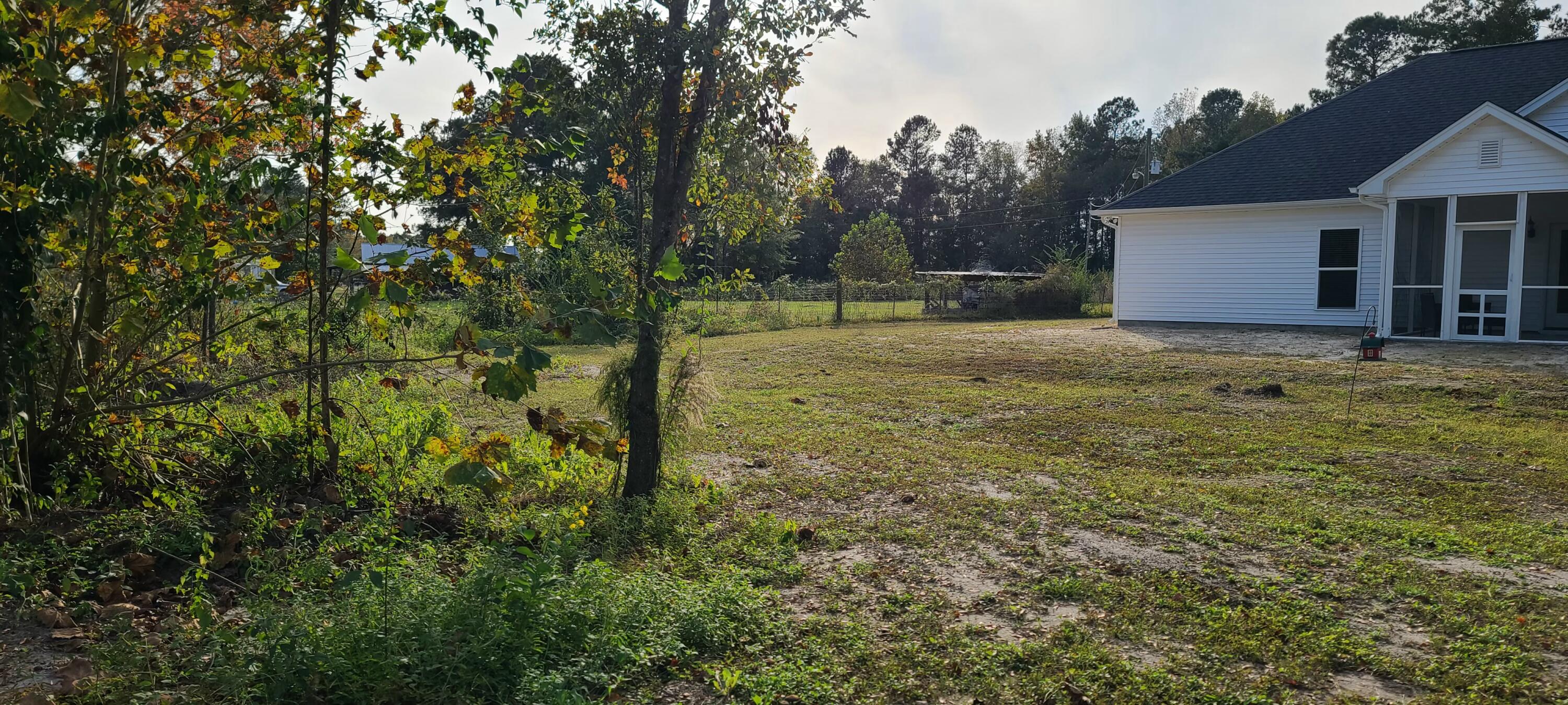 199 Dusty Road St. George, SC 29477 - Photo 53 of 69 20211104_164536