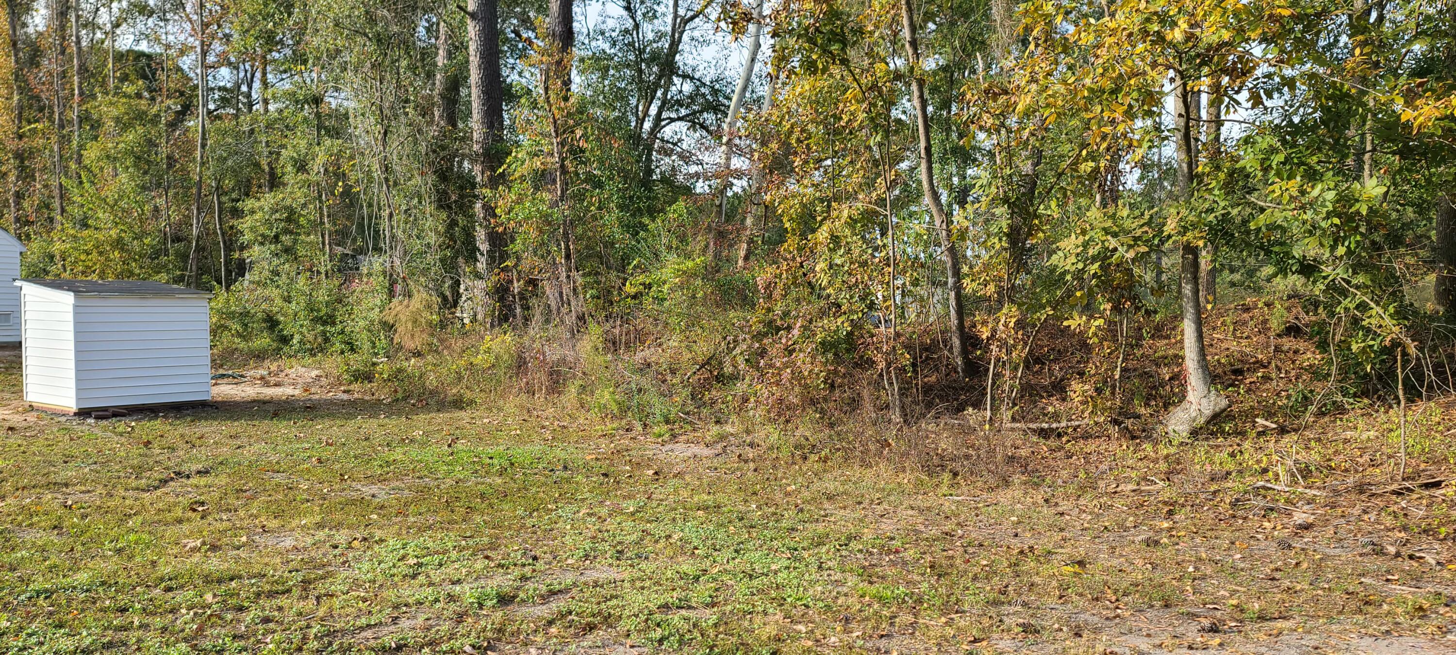 199 Dusty Road St. George, SC 29477 - Photo 55 of 69 20211104_162247