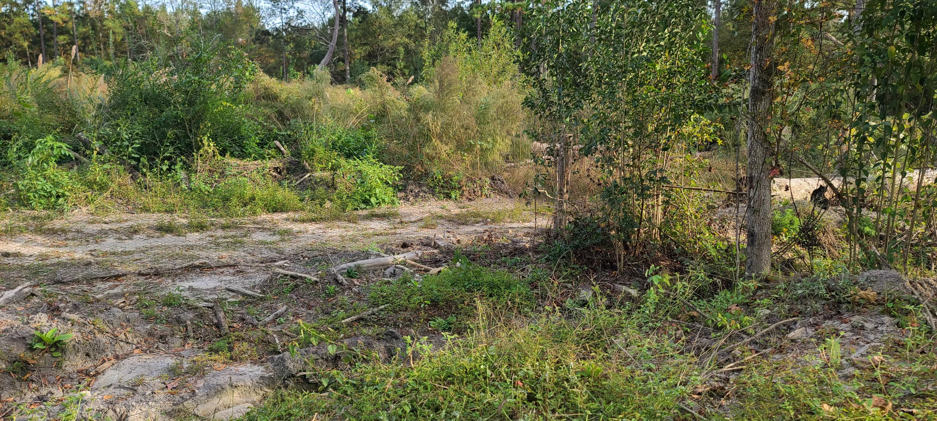 199 Dusty Road St. George, SC 29477 - Photo 58 of 69 20211104_161901_01