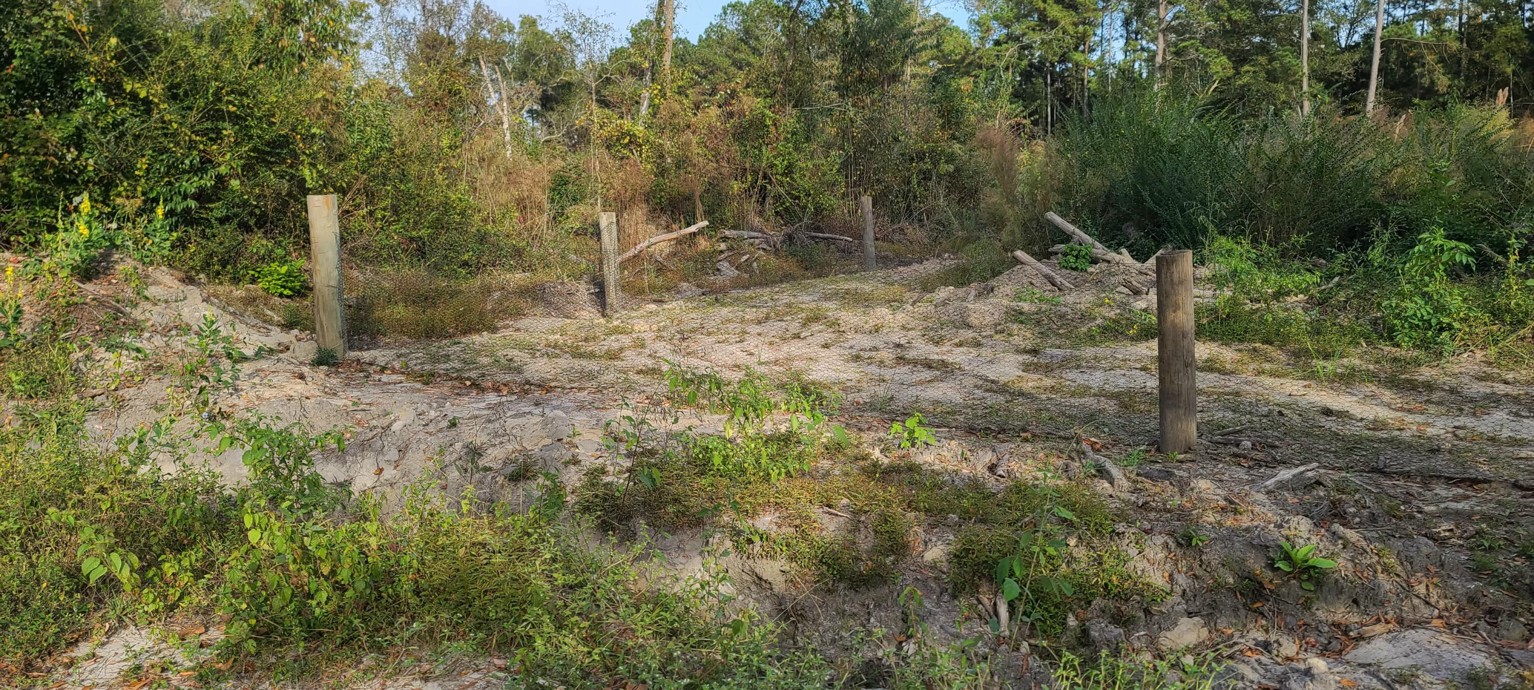 199 Dusty Road St. George, SC 29477 - Photo 59 of 69 20211104_162036