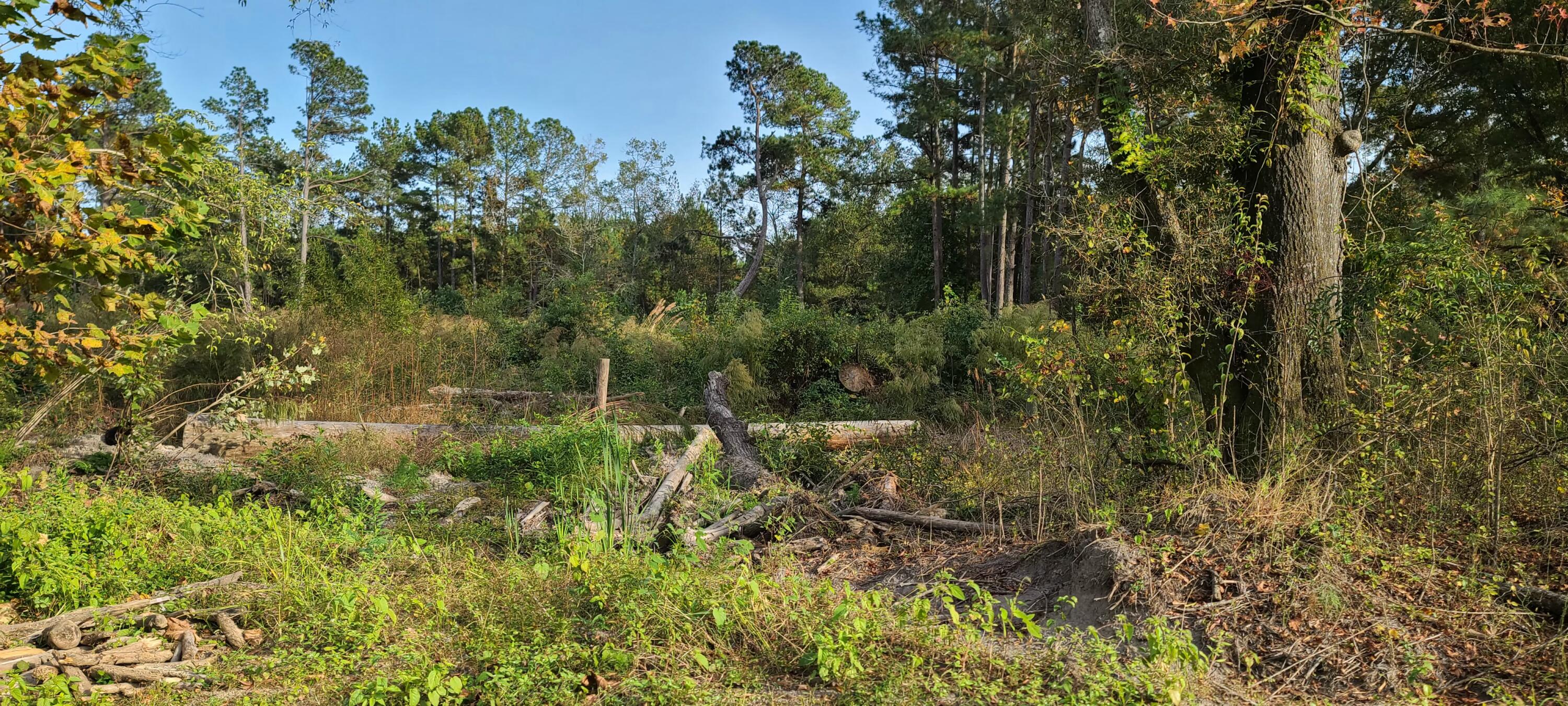 199 Dusty Road St. George, SC 29477 - Photo 61 of 69 20211104_162042