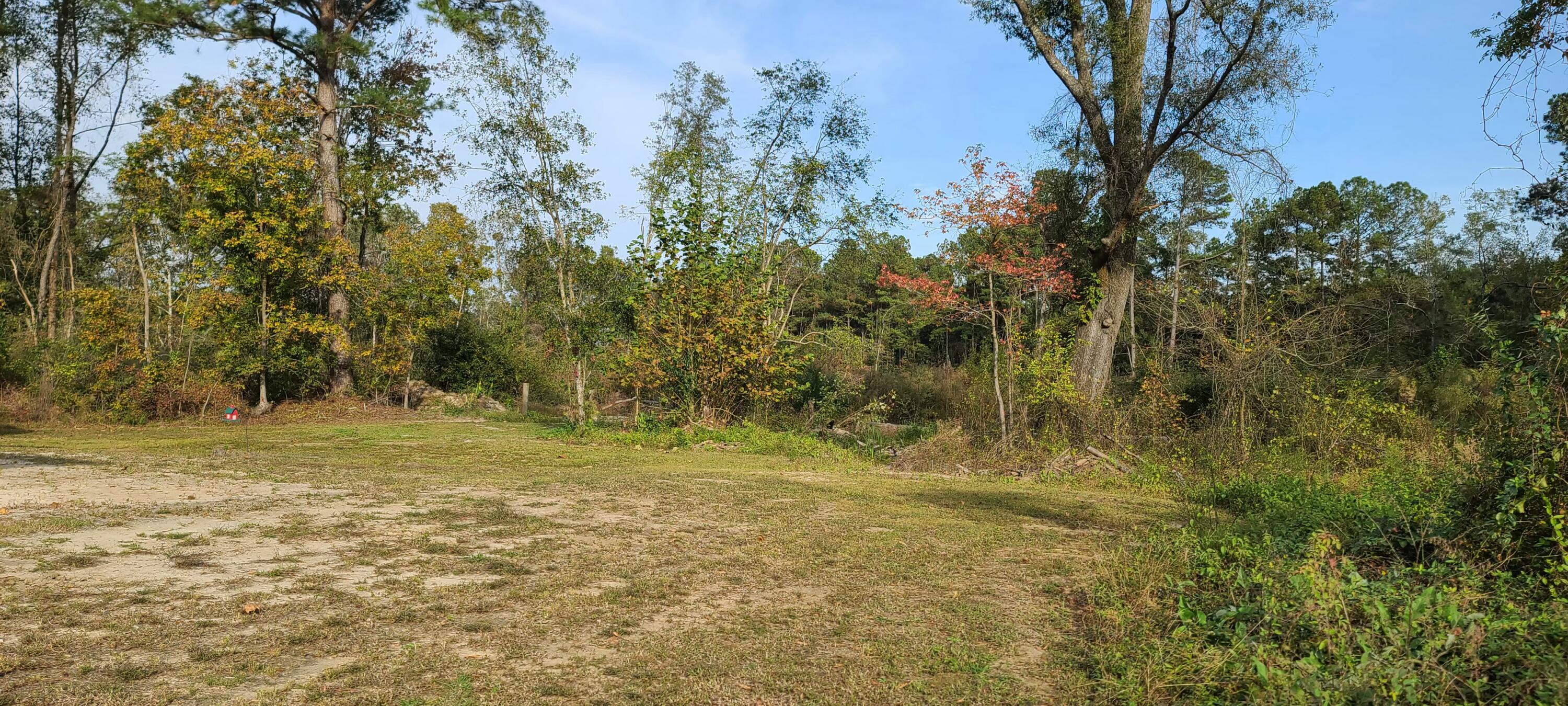 199 Dusty Road St. George, SC 29477 - Photo 62 of 69 20211104_162126