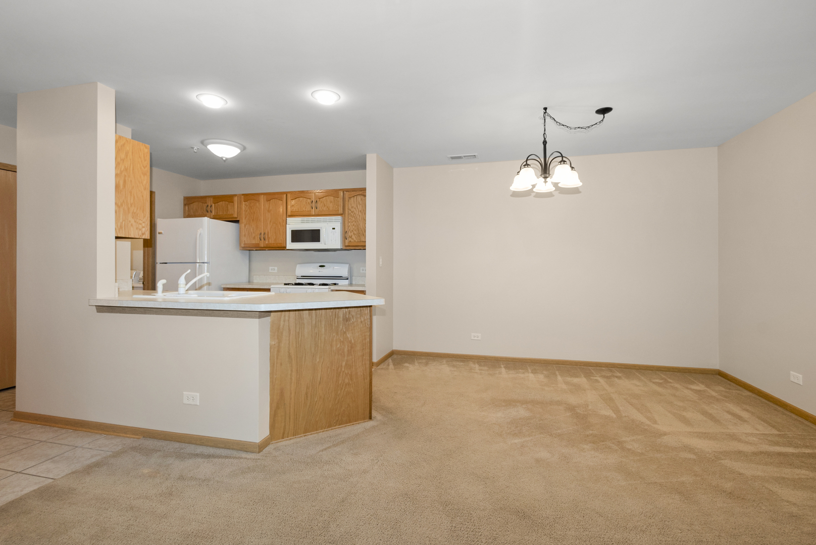20301 South Pine Hill Road, Unit 1D Frankfort, IL 60423 - Photo 8 of 21 a view of kitchen with granite countertop cabinets and refrigerator