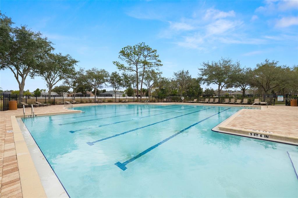 13562 Paddington Way Spring Hill, FL 34609 - Photo 37 of 39 a view of a swimming pool with a yard