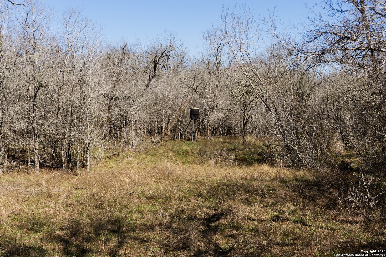 605 Marrou Road Seguin, TX 78155 - Photo 13 of 18 a view of a yard