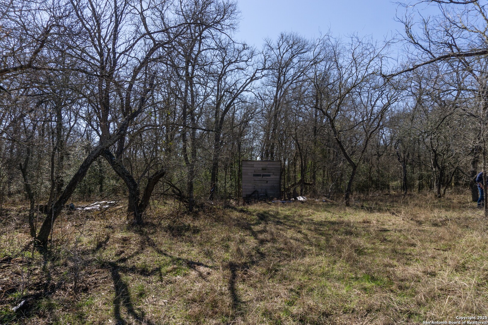 605 Marrou Road Seguin, TX 78155 - Photo 14 of 18 a backyard of a house with lots of green space