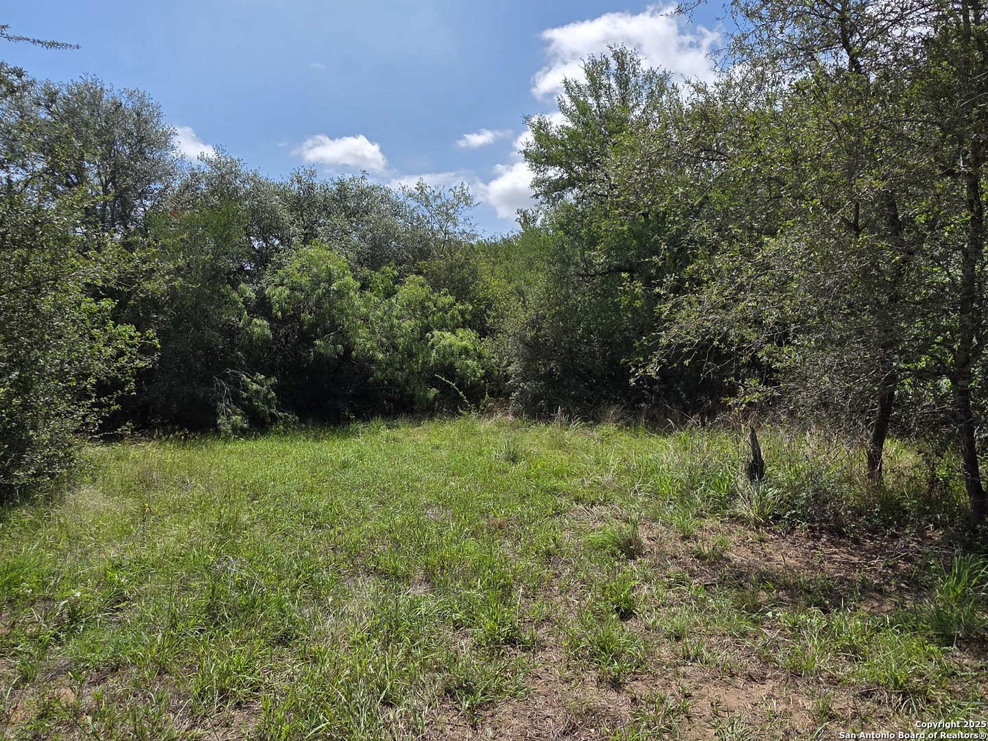 605 Marrou Road Seguin, TX 78155 - Photo 2 of 18 a view of a green yard