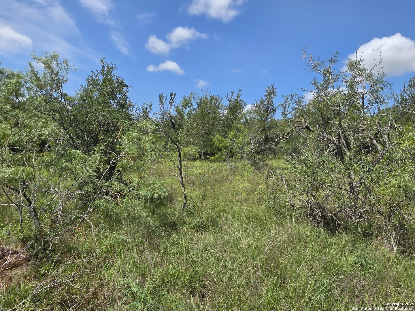 605 Marrou Road Seguin, TX 78155 - Photo 3 of 18 a view of a city