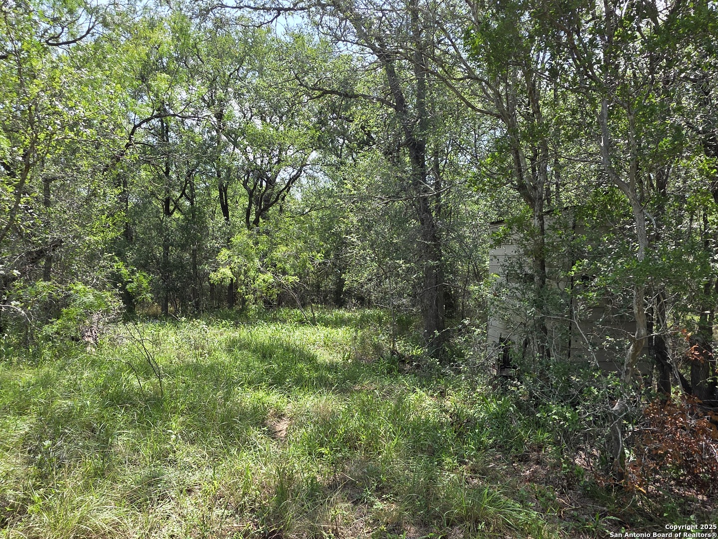 605 Marrou Road Seguin, TX 78155 - Photo 5 of 18 a view of a lush green forest