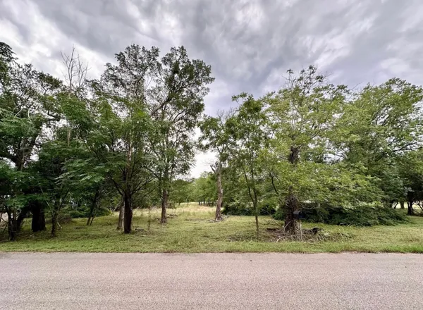 a backyard of a house with a garden and entertaining space