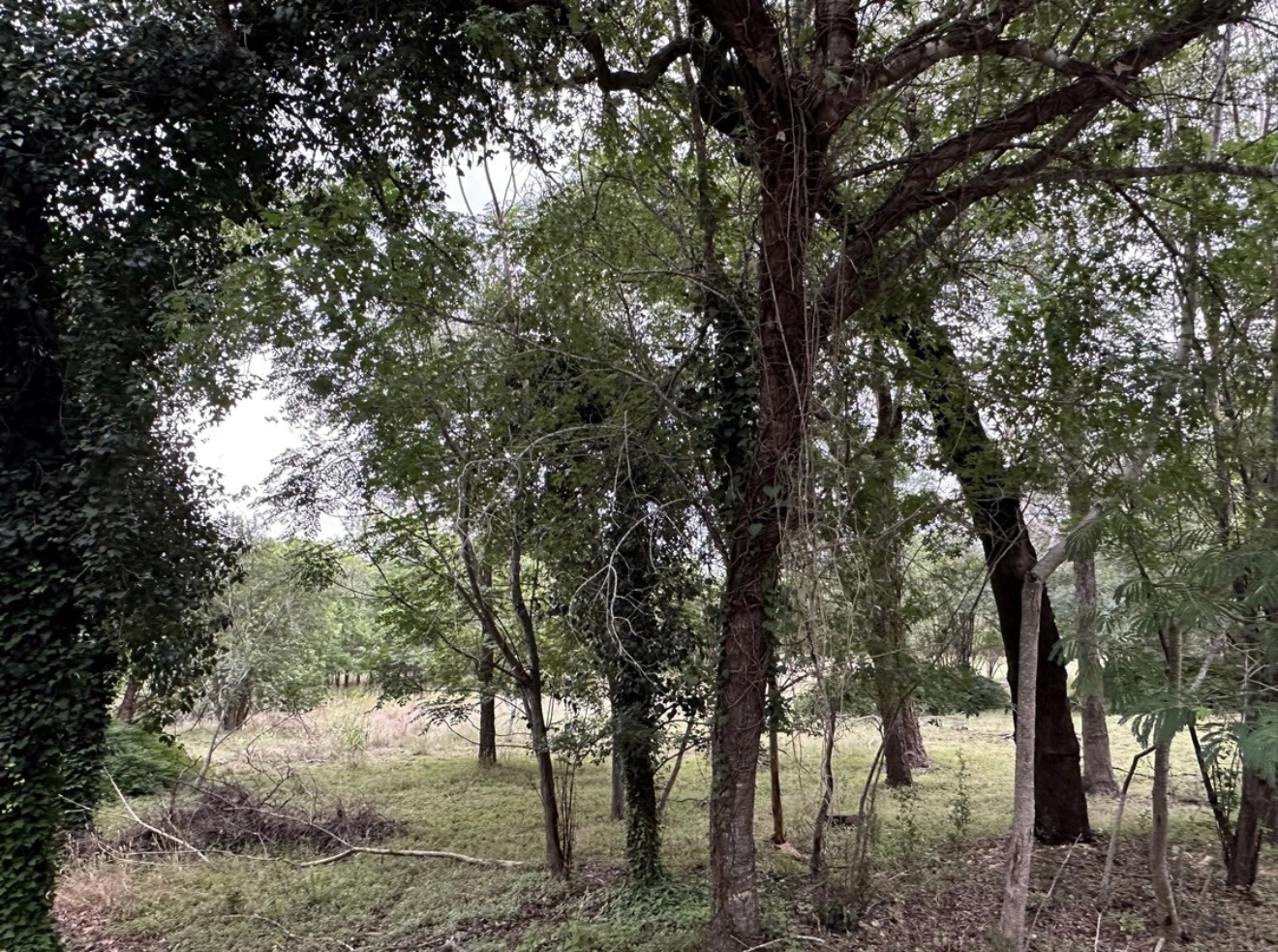 911 Penion Drive Austin, TX 78748 - Photo 2 of 4