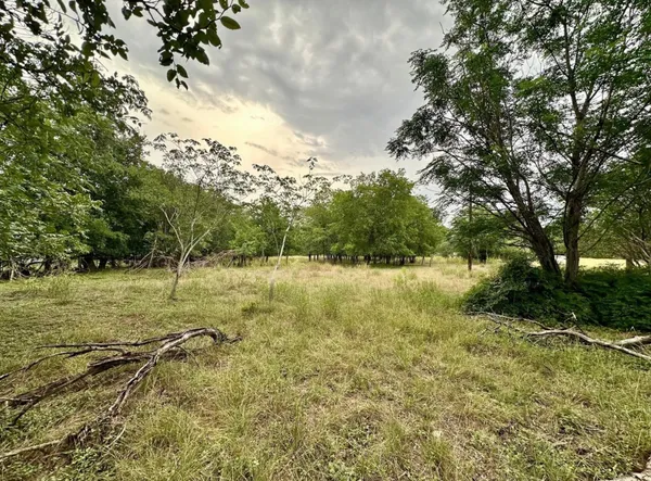a view of outdoor space and trees