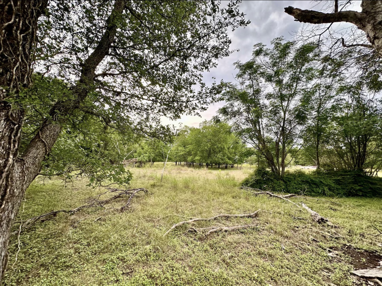 911 Penion Drive Austin, TX 78748 - Photo 4 of 4